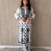 ALIZA Rayon Chikankari Kurta Set